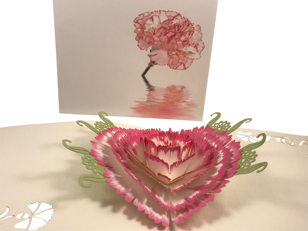 Pink Flower Pop Up Card Carnation Revealed