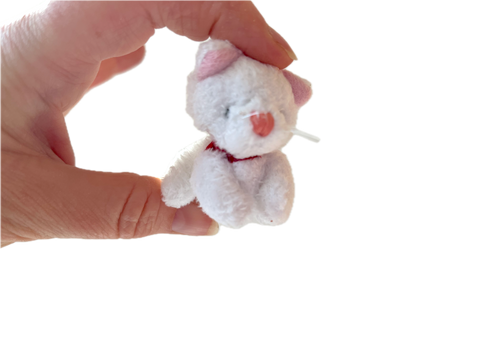 Small Stuffed Kitty Cat (White)