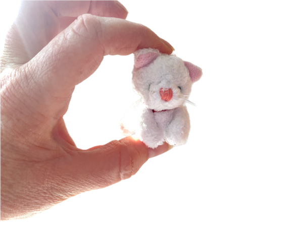 Small Stuffed Kitty Cat (White)