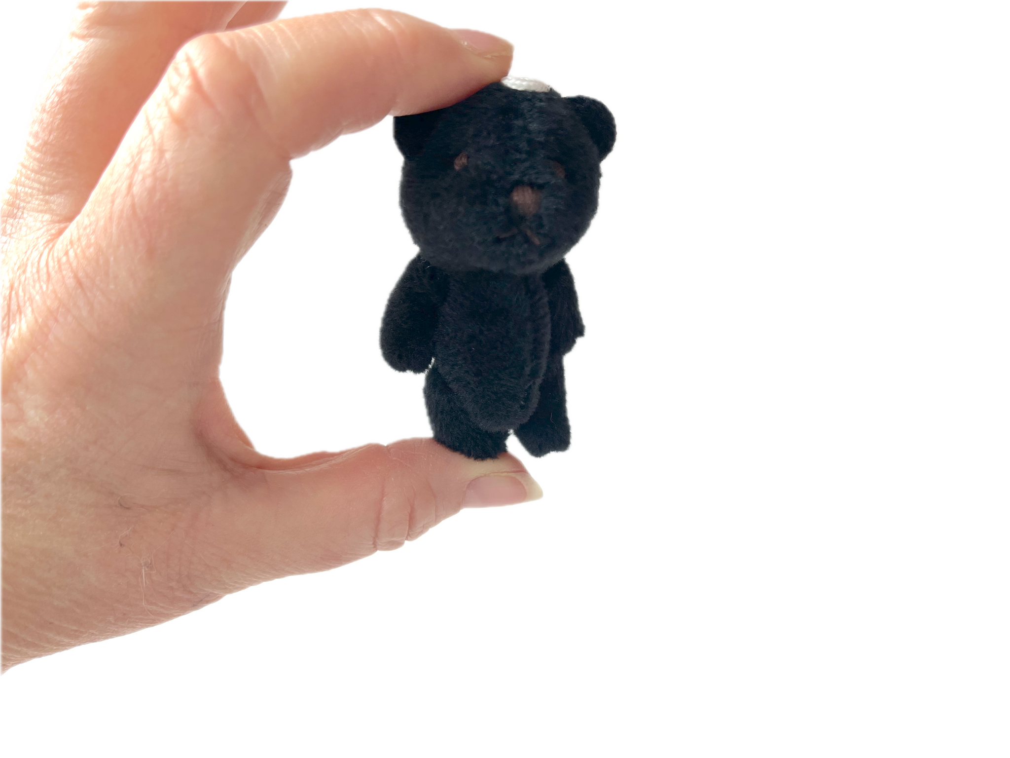 Pocket Bear 黒いぬいぐるみ Miniature Stuffed Teddy Bear Pocket Pet (Black) – TheGiftedRat.com