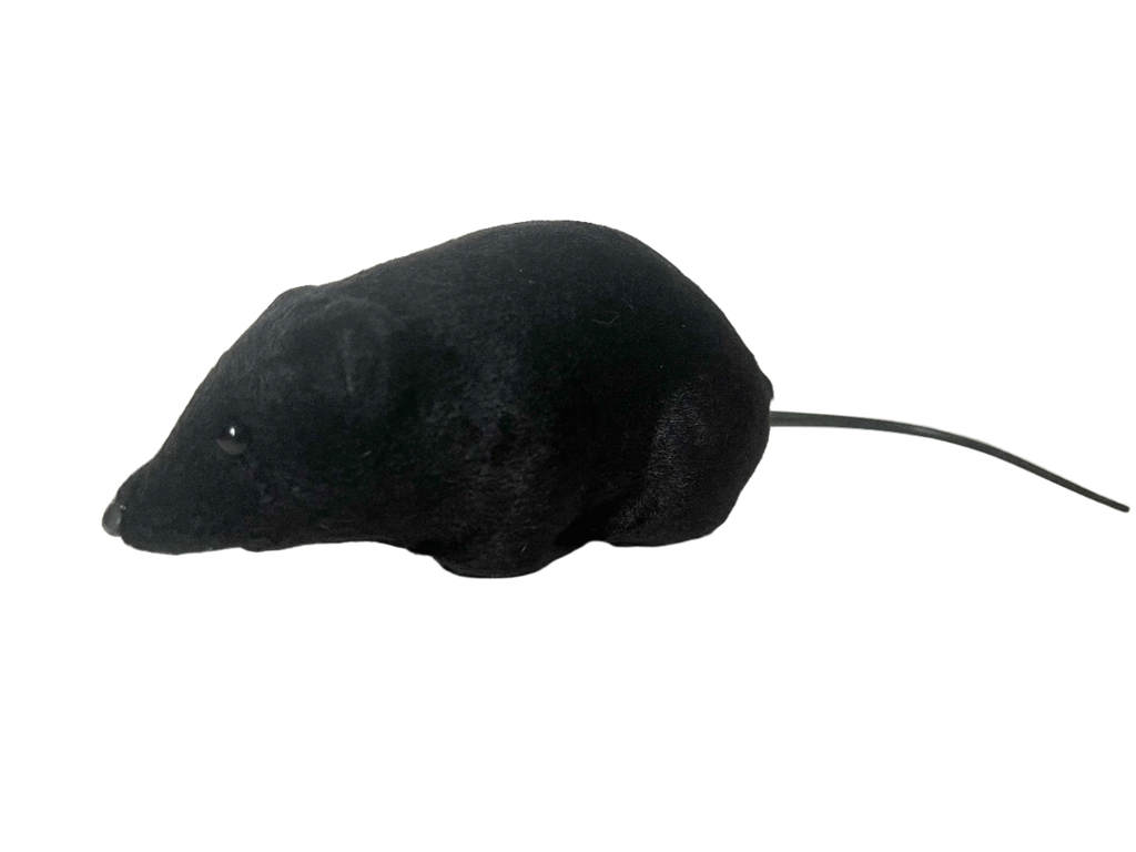 Realistic Lifelike Fake Rat (black) – TheGiftedRat.com