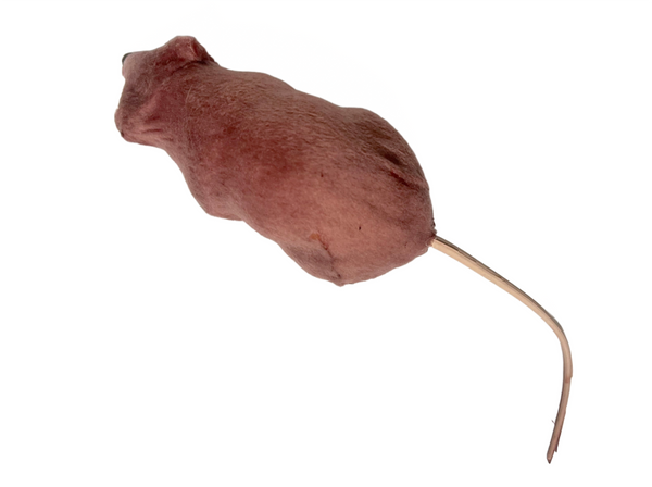 Realistic Lifelike Fake Rat (brown) 