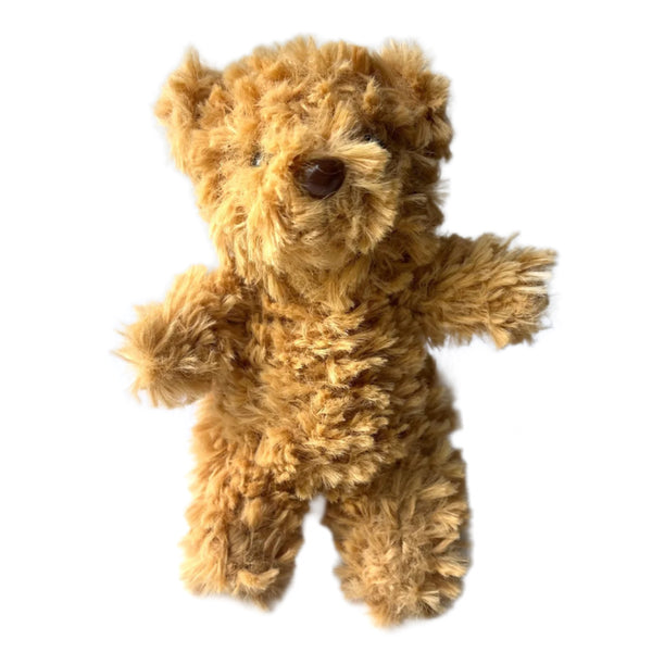 Small Stuffed Fluffy Soft Bear