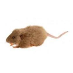 Brown Furry Realistic Plush Rat
