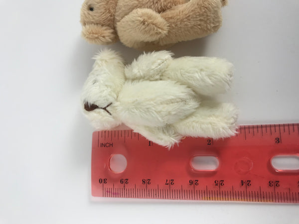 Miniature Teddy Bear Family