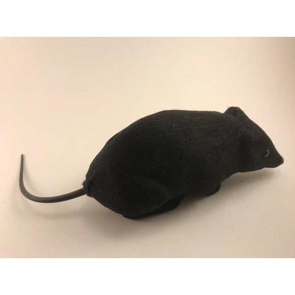 Black Fake Rat In Gift Box