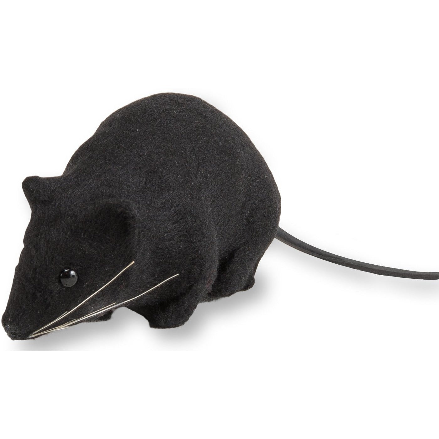 Black Fake Rat In Gift Box – TheGiftedRat.com