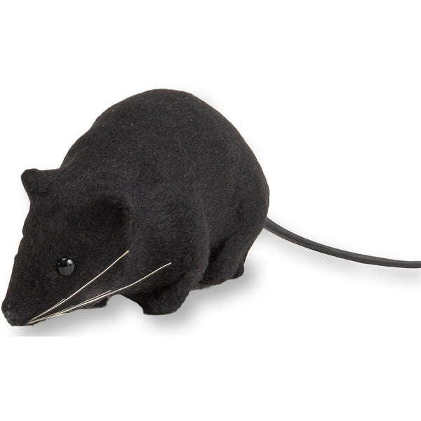 Black Fake Rat In Gift Box